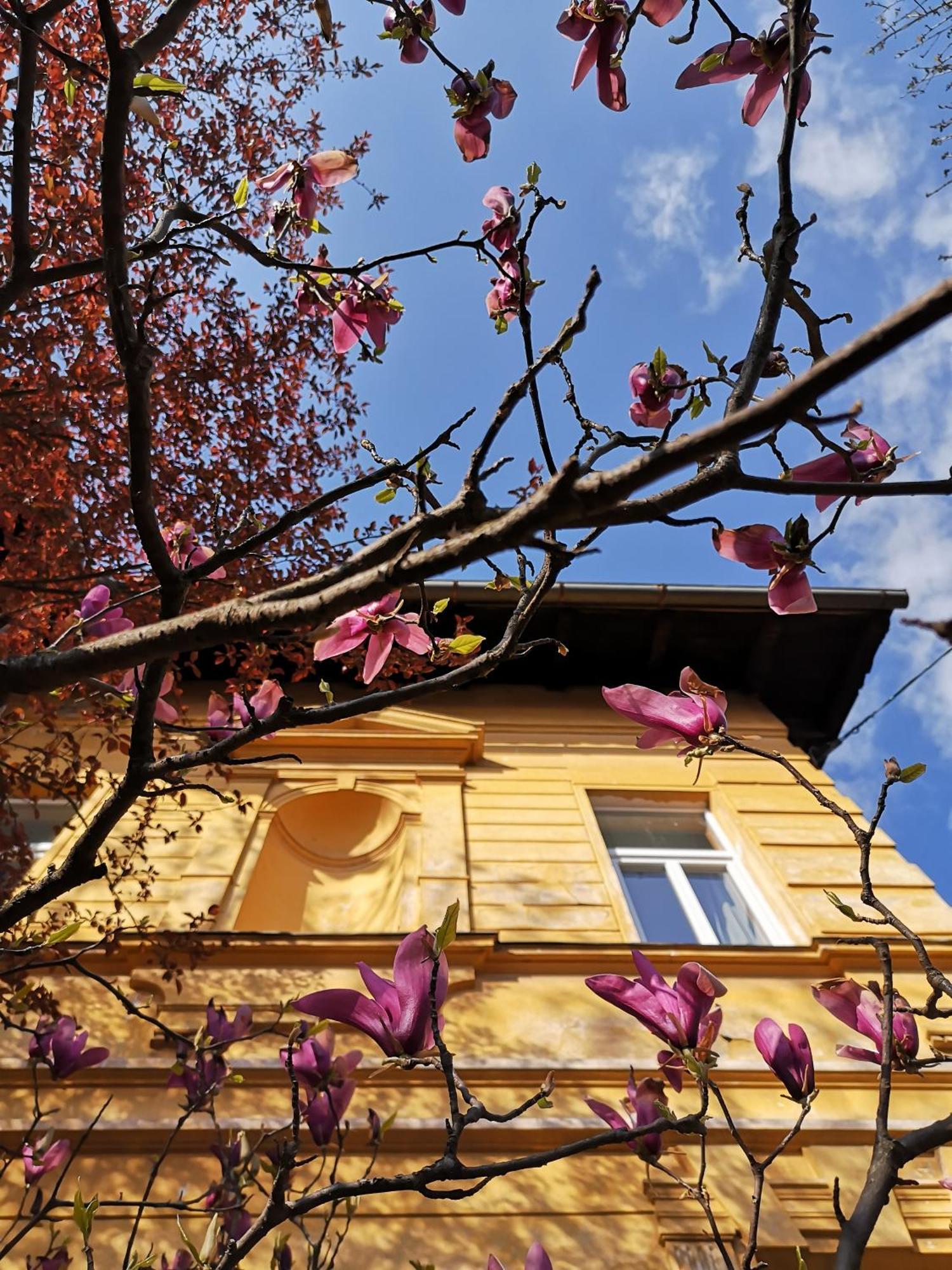 The Villa, Ljubljana City Center Exterior foto